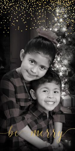 golden-glitter-4x8-photo-card