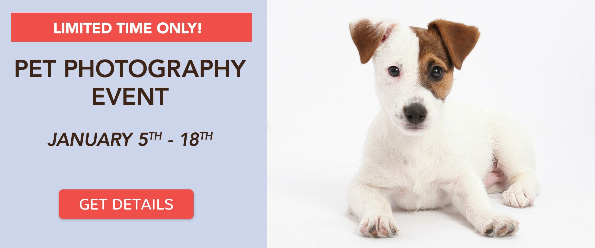 Pet Photography Event: January 5th-18th